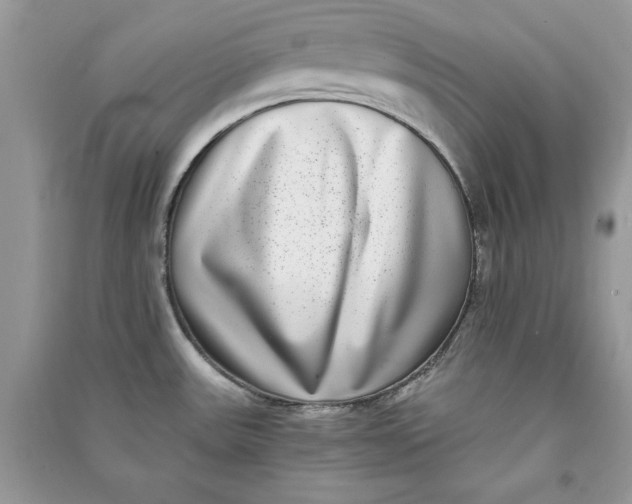 X0000090701531200708101431