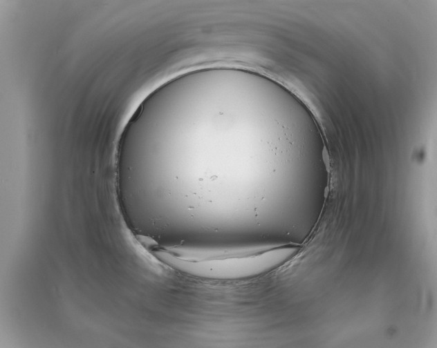 X0000090701532200708101431