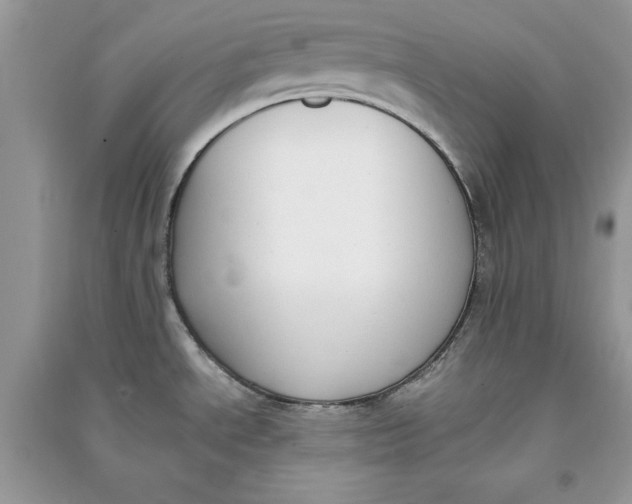 X0000090701534200708101431