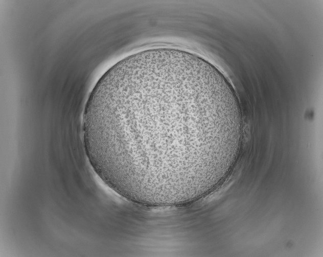 X0000090701535200708101431