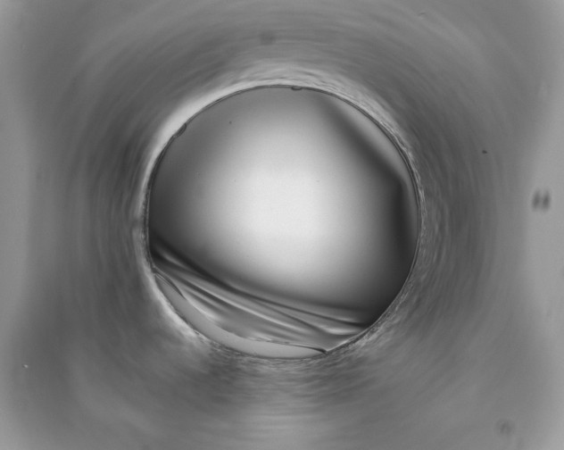 X0000090701536200708101431