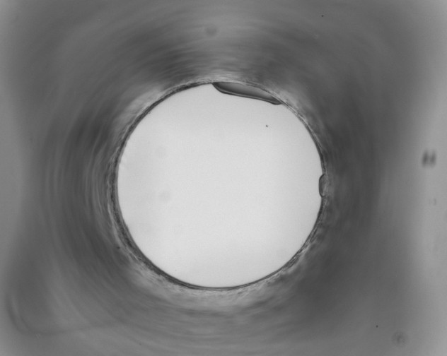 X0000090700001200708171855