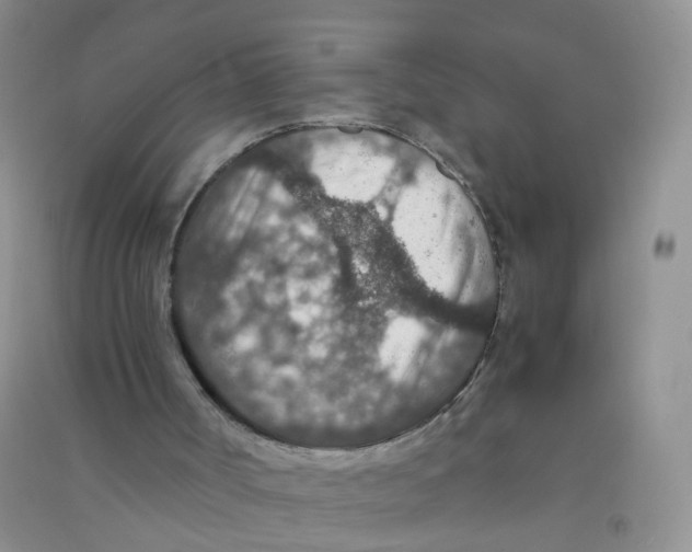 X0000090700002200708171855