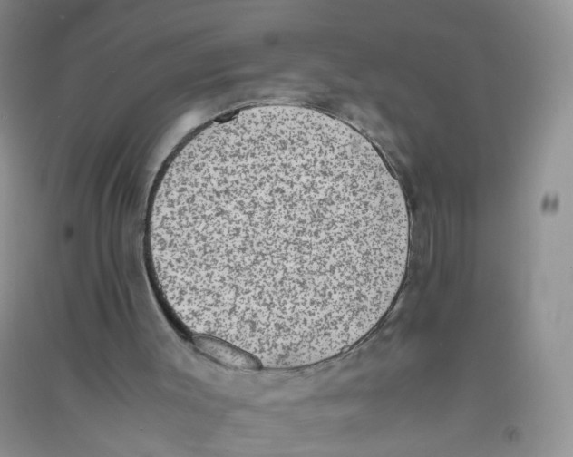 X0000090700003200708171855