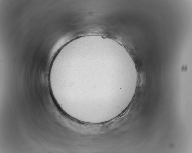 X0000090700004200708171855