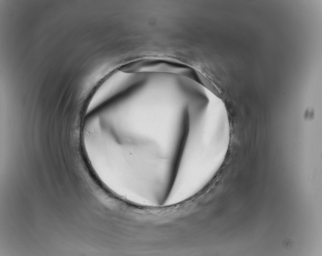 X0000090700005200708171855