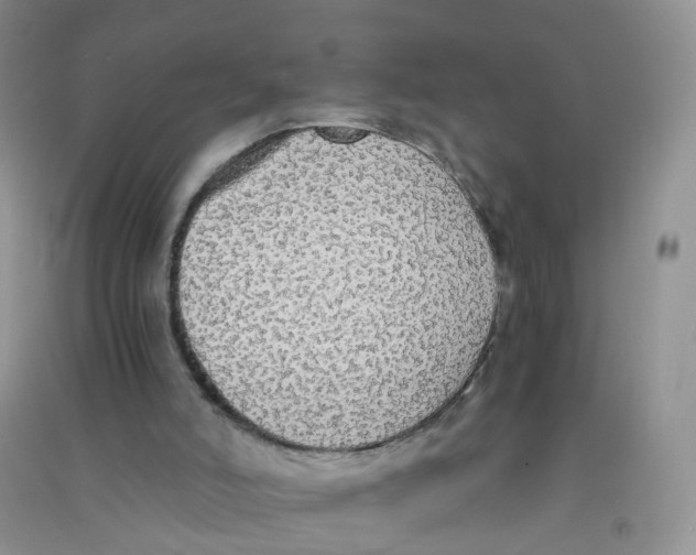 X0000090700006200708171855