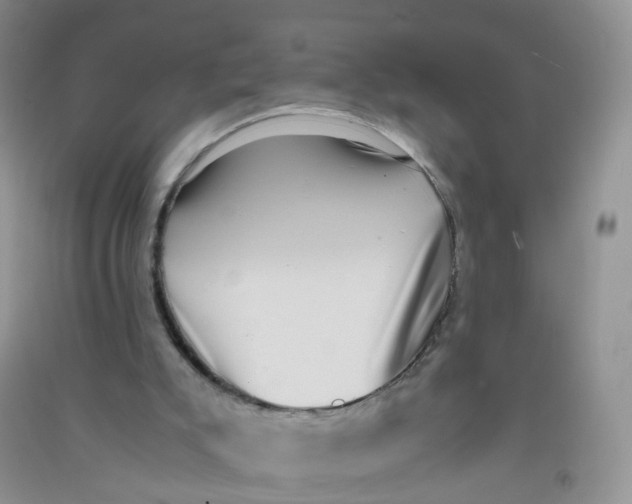 X0000090700007200708171855