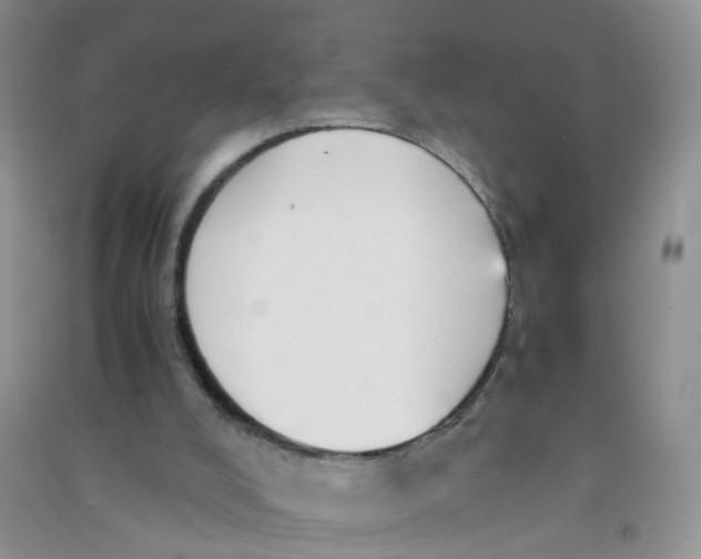 X0000090700008200708171855