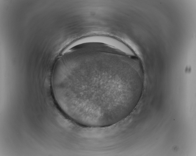 X0000090700009200708171855