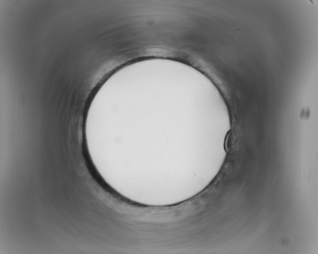 X0000090700011200708171855