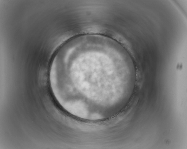 X0000090700012200708171855