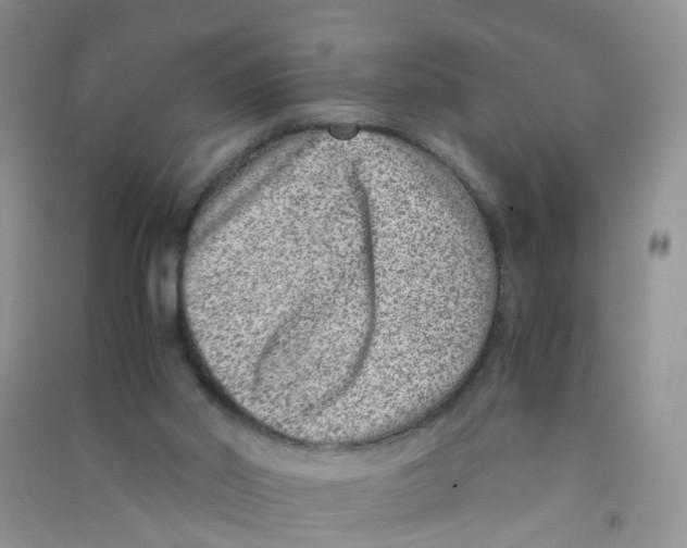 X0000090700014200708171855