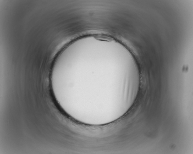 X0000090700015200708171855