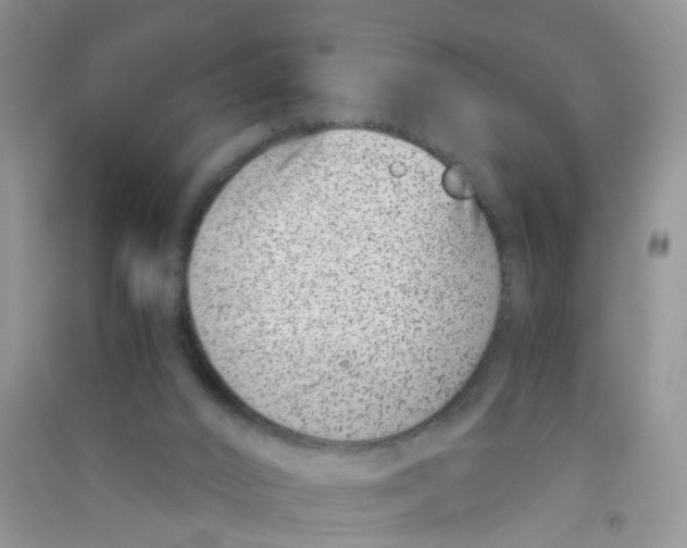 X0000090700016200708171855