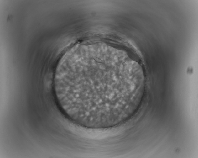 X0000090700018200708171855