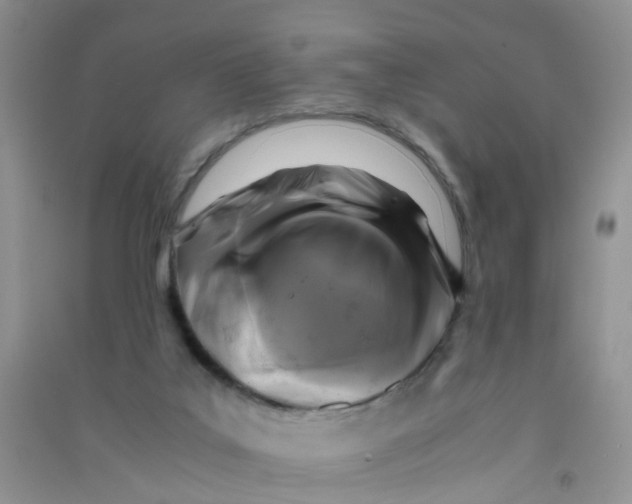 X0000090700019200708171855