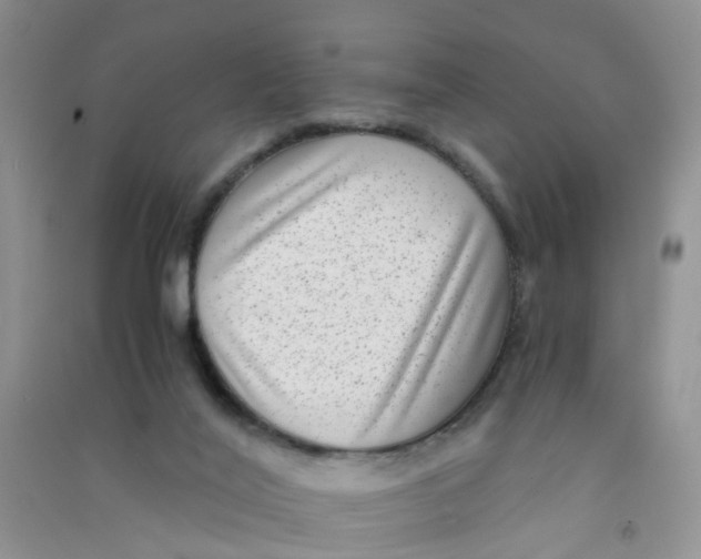 X0000090700020200708171855