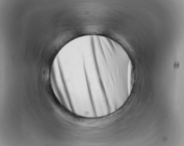 X0000090700021200708171855