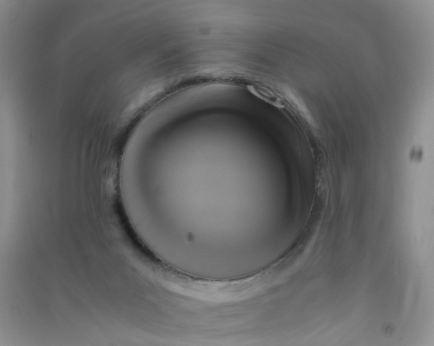 X0000090700023200708171855