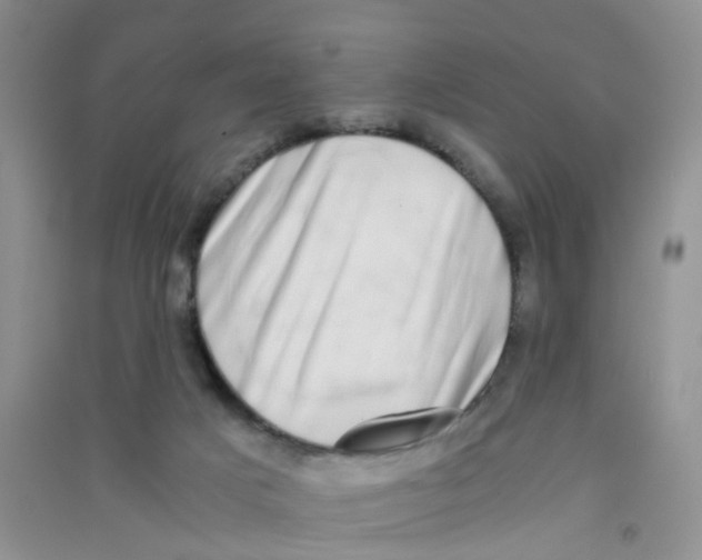 X0000090700025200708171855