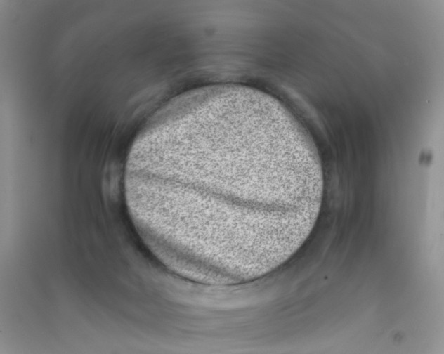 X0000090700026200708171855