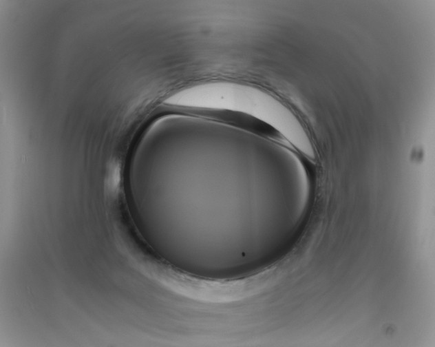 X0000090700027200708171855