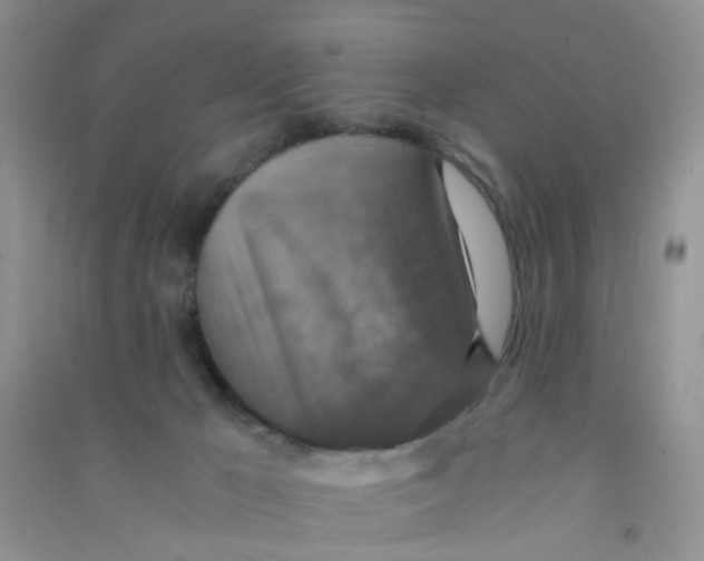 X0000090700029200708171855