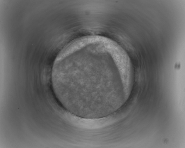 X0000090700030200708171855