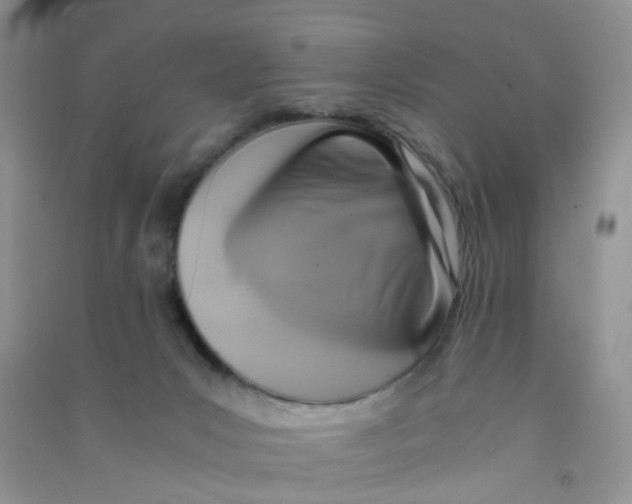 X0000090700031200708171855