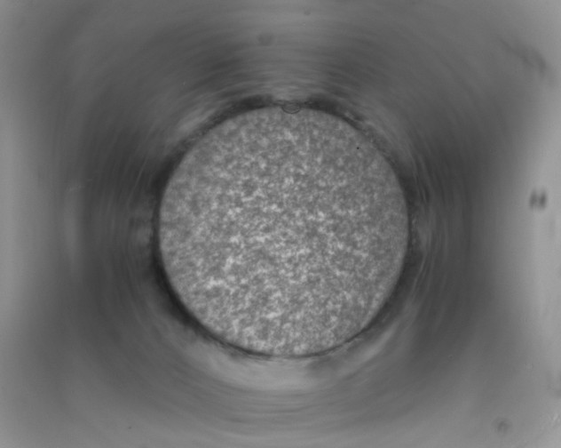 X0000090700032200708171855