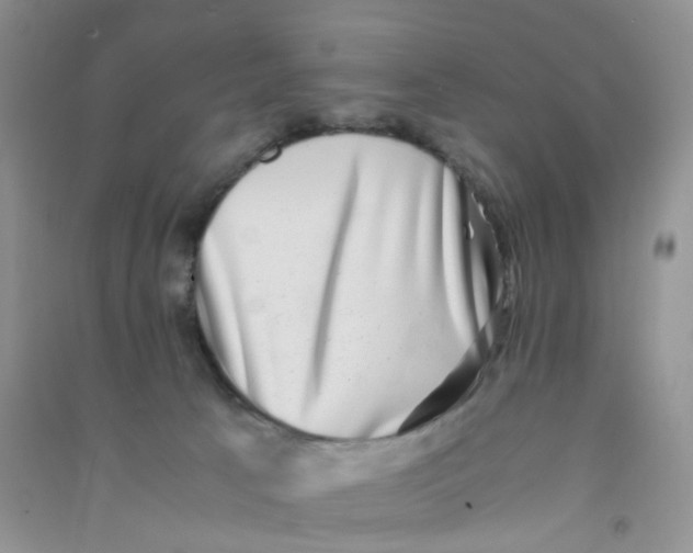 X0000090700033200708171855