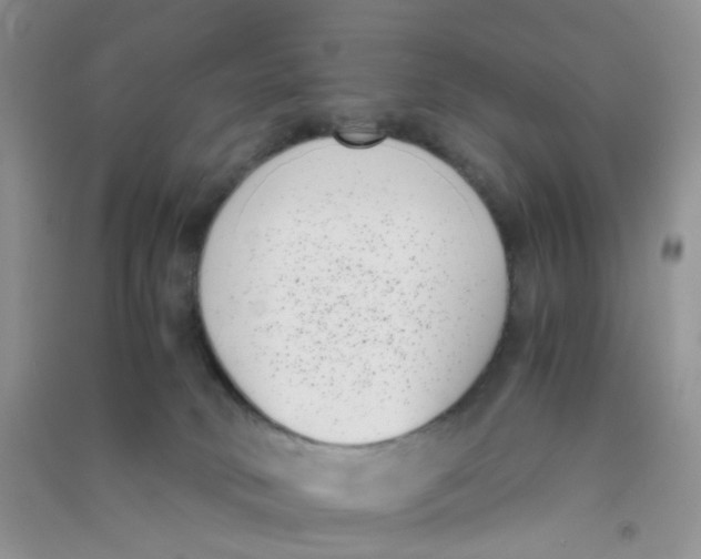 X0000090700034200708171855