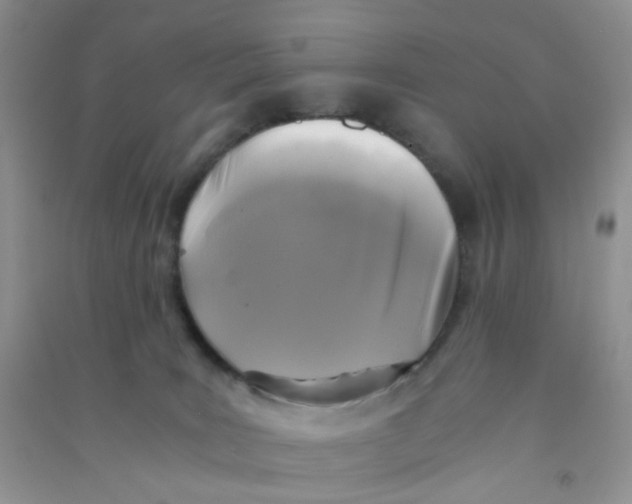 X0000090700035200708171855