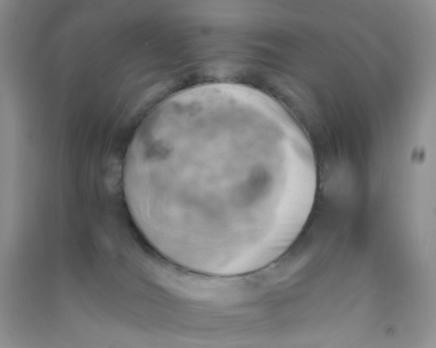 X0000090700036200708171855