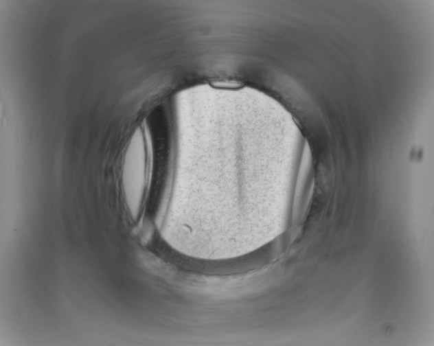 X0000090700037200708171855