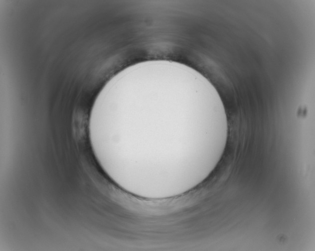 X0000090700038200708171855