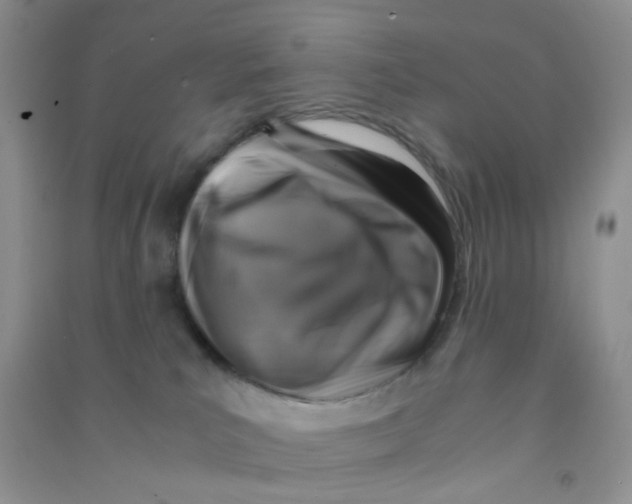 X0000090700039200708171855