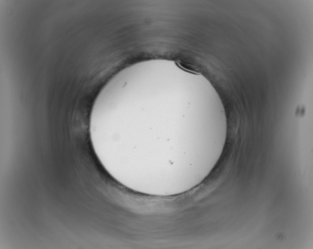 X0000090700040200708171855