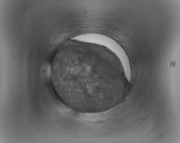 X0000090700041200708171855