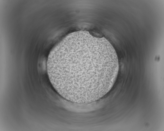 X0000090700042200708171855