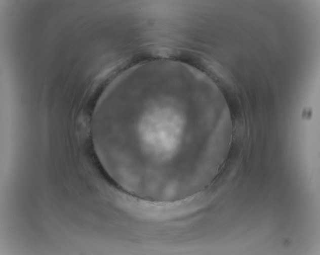 X0000090700043200708171855