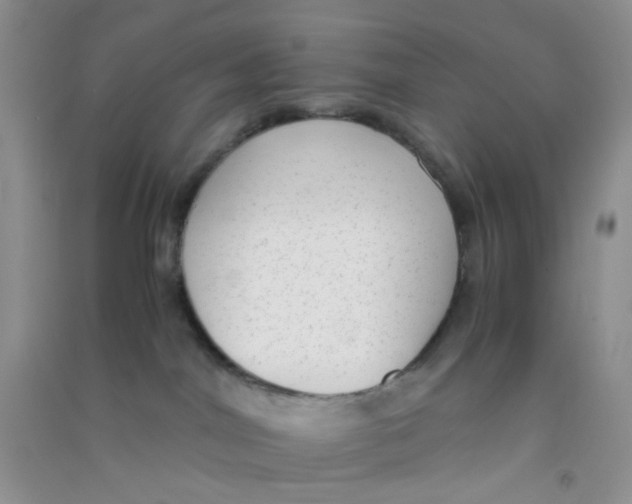 X0000090700044200708171855