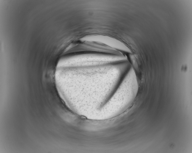 X0000090700045200708171855