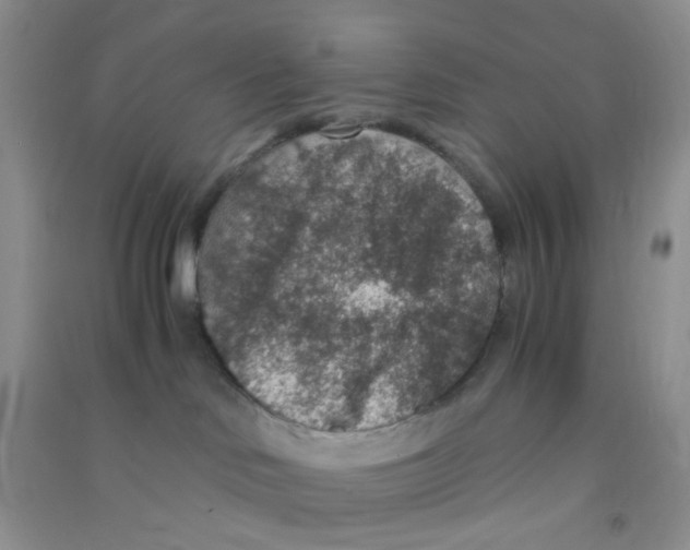 X0000090700046200708171855