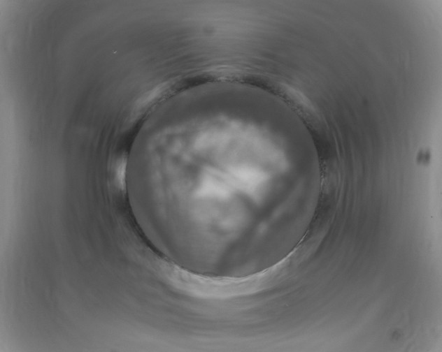 X0000090700047200708171855