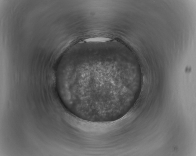 X0000090700048200708171855