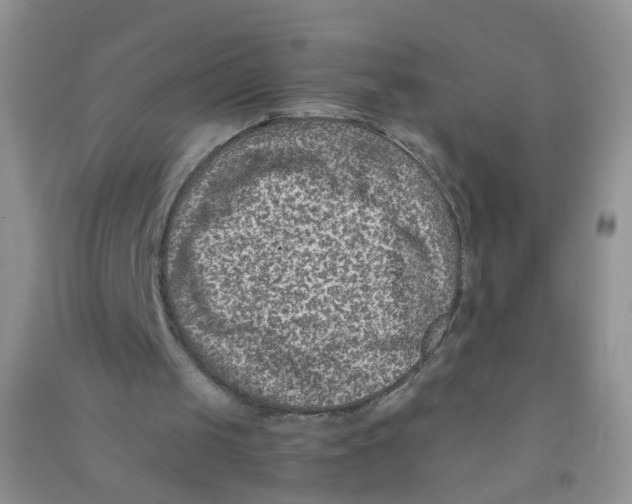 X0000090700049200708171854