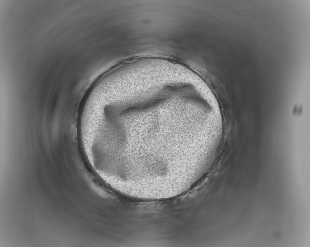 X0000090700050200708171854