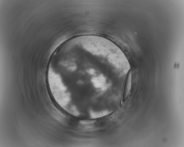 X0000090700051200708171854